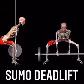 骨格で見るトレーニングの画像