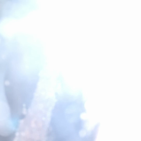 今年初の鈴虫の鳴き声　未だぎこちないですがの画像