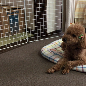 モカぷうき、始動‼️の画像