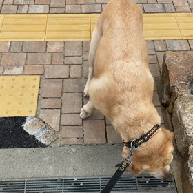 動物病院の画像