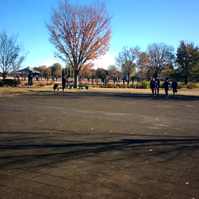 男女混合リレー アップ⑤の画像