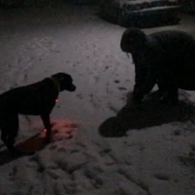 いい雪でしたね サラサラふわふわのの画像