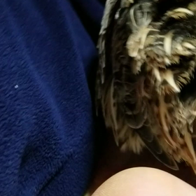 産卵　パート２❗の画像