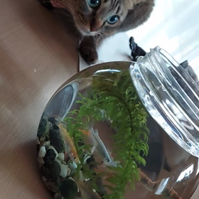 ウォーキングと糸の画像