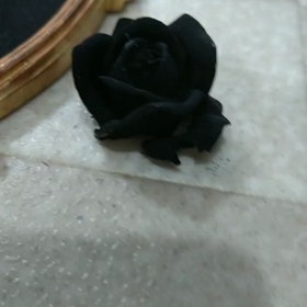 黒色無双って知ってるかい？の画像