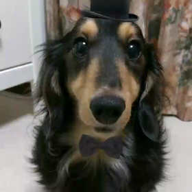 マロンからのお礼♪の画像