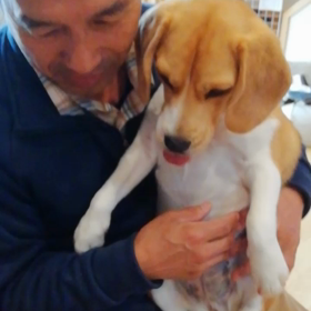 おやつ貰います。の画像