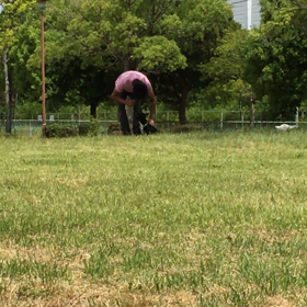 訓練頑張ってますの画像