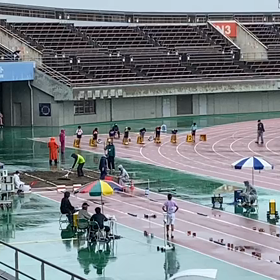 男子６年100m予選④の画像