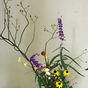 お茶サロンの画像