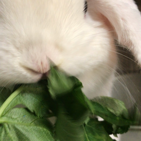 おやつタイムの画像