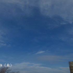 本日も、お疲れ様でした☘️☕️☘️の画像