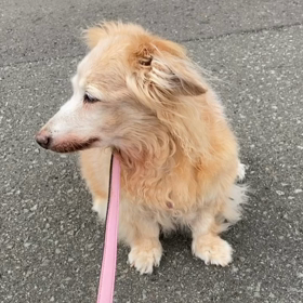 今日のリハビリ＆17歳11ヶ月になりましたの画像