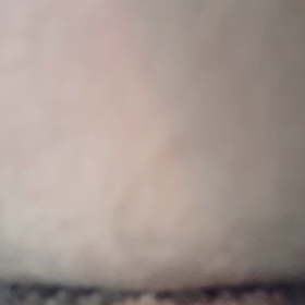 クッションの下のすなおの画像