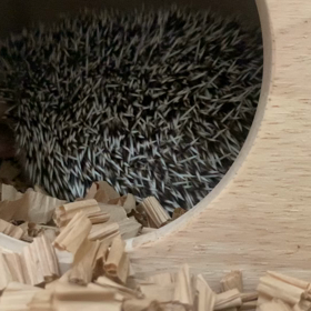 朝びっくりしすぎたこと！！の画像