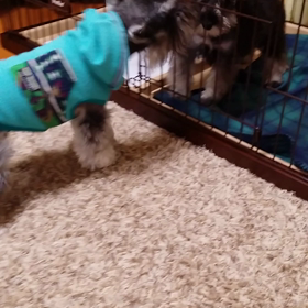 オラオラ(ﾟ皿ﾟ#)の画像