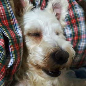 Fly me to the moonを聴きながらの画像