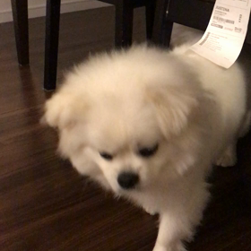 切ない瞬間の画像