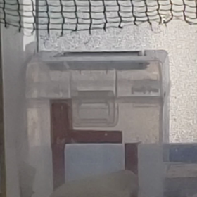 コメちゃん、４か月振り❗の画像