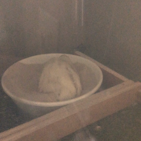 姫ウズラのピー助君ですの画像