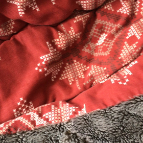 え？何？(⁎⁍̴̆Ɛ⁍̴̆⁎)の画像