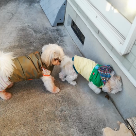 スキンシップのエールの画像