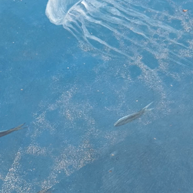 最美的風景在心中（二）の画像