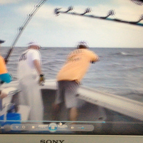 クロマグロ取り込みの画像