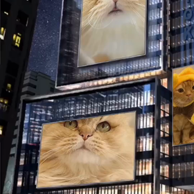 かっこいい動画ありがとうございますの画像