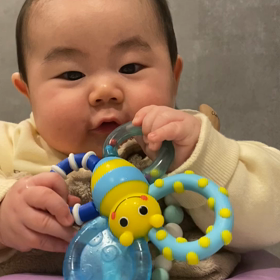 他力本願な５ヶ月坊ちゃんの画像