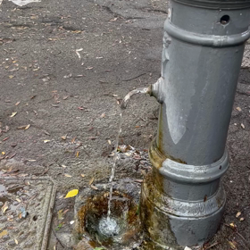 ローマの水道の水は飲める？の画像