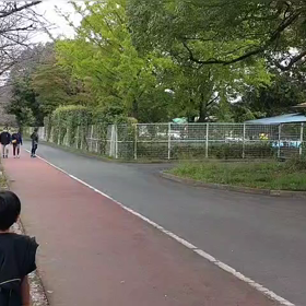 リレー選考会（ゴール付近）⑬の画像