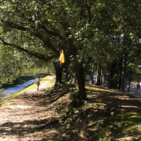 芸術の〜の画像