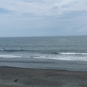 茅ヶ崎の海の画像