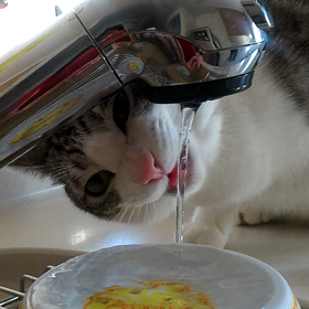 ソファーの上での画像