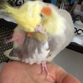 ゴールデンウィーク⑦の画像