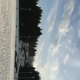 雪にも負けズの画像