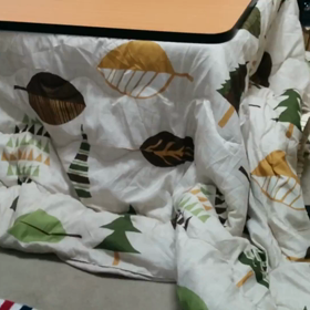 セカンドハウスの画像