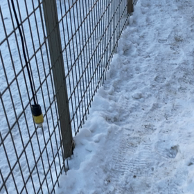 初めての雪の画像