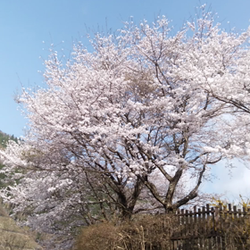 今日と昨日………の話し。の画像