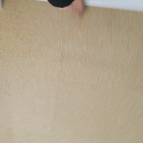 いやぁ～の画像