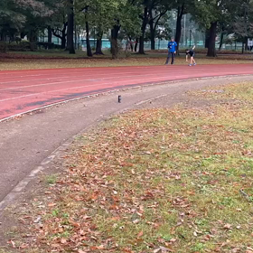 競技場練習⑮の画像