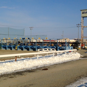 ばんえい競馬 動画の画像