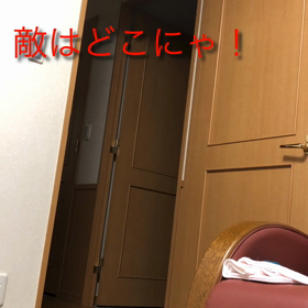 朝から天気いいのに…株暴落。そんなの関係ない！デール。の画像