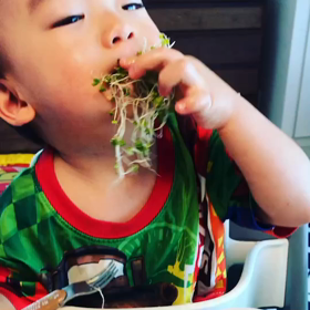 孫の癒し映像の画像