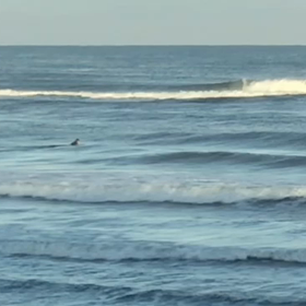 今朝の波乗りの画像