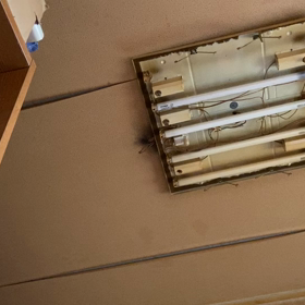 キャン田の国からの画像