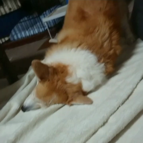 やられたーーー！！の画像