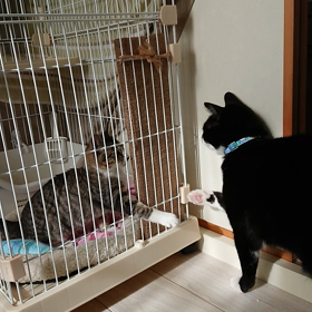 最初に興味もった子は～。の画像