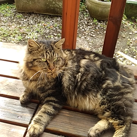 なんと！の画像